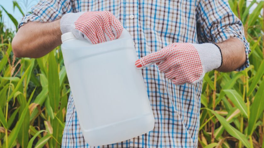Farmer holding pesticide chemical jug in cornfield