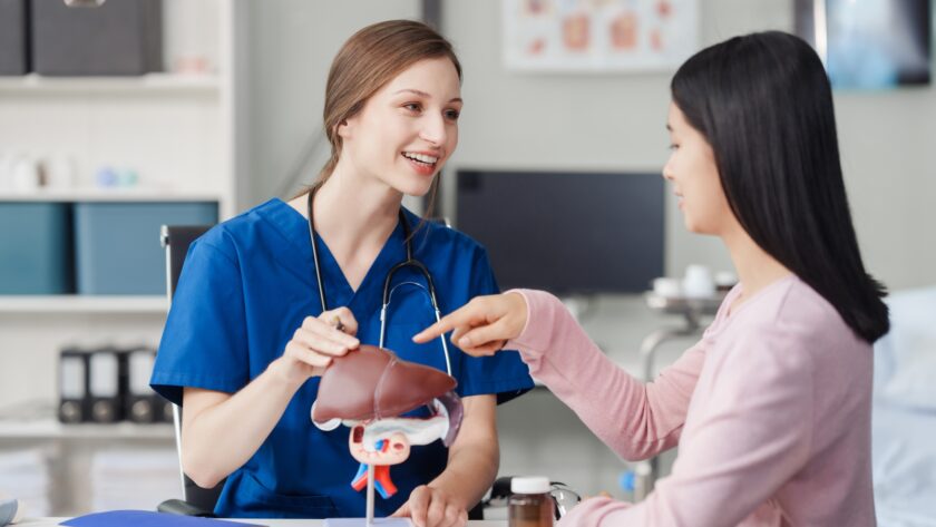Caucasian liver professional female doctor explain to asian female patient using human liver model