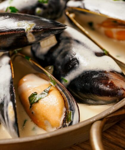Creamy mussels on wooden background