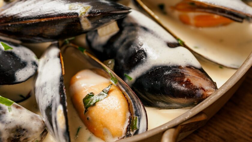Creamy mussels on wooden background