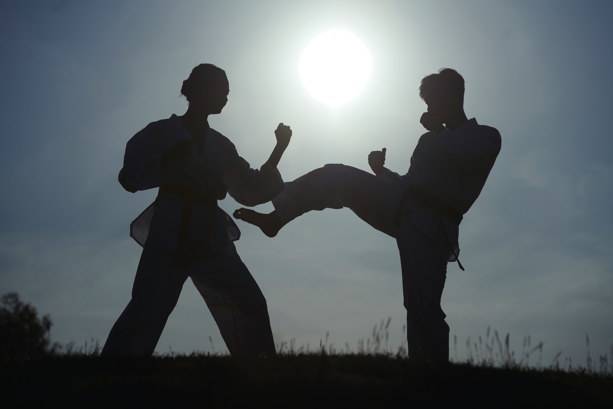 Silhouettes of Taekwondo Athletes Fighting