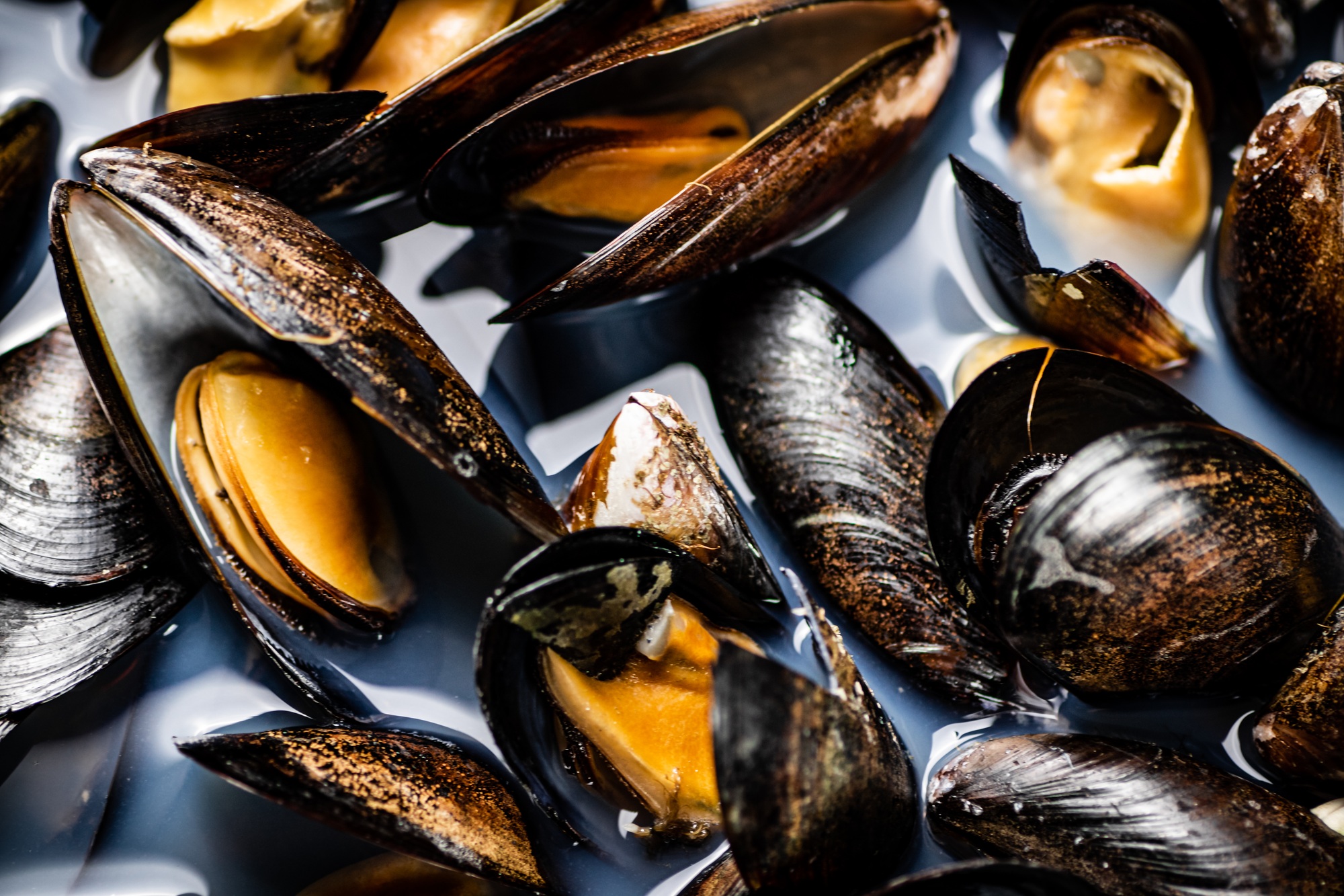 moules 