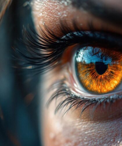 découvrez notre guide d'achat pour choisir le meilleur double volant amortisseur adapté à votre renault captur ii et améliorez votre expérience de conduite.