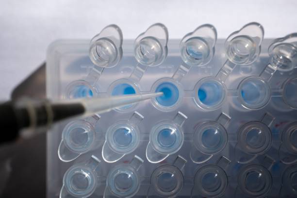 Technicien de laboratoire manipulant une pipette de précision pour analyser un flacon d'huile CBD avec plante de chanvre en arrière-plan